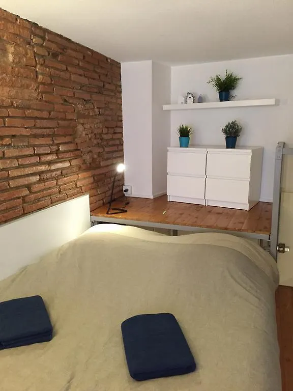 Le Petit Moulin, Duplex Hypercentre Toulouse公寓