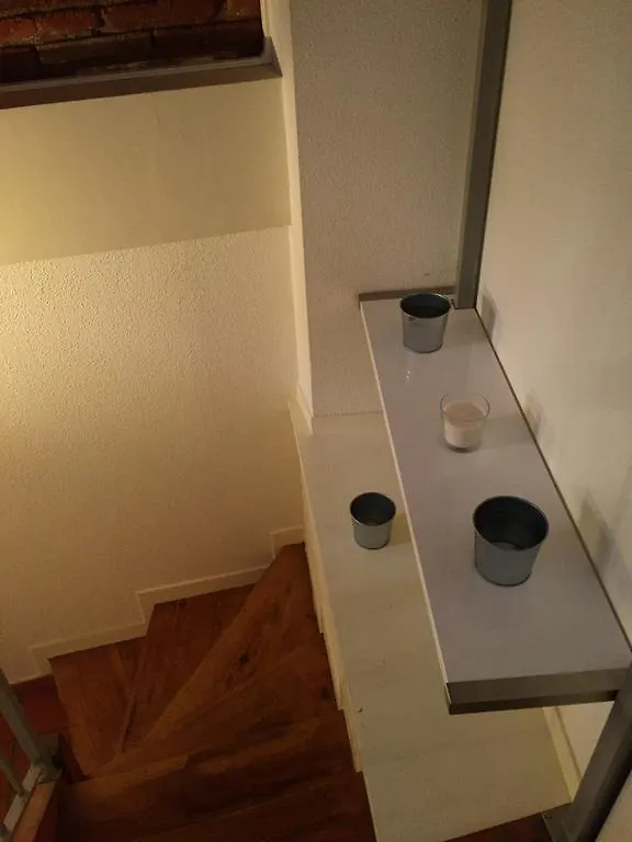 Le Petit Moulin, Duplex Hypercentre Toulouse公寓 法国
