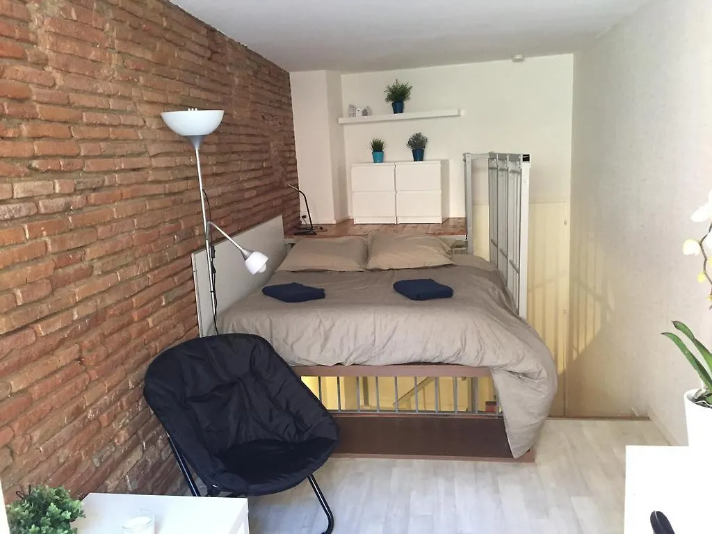 公寓 Le Petit Moulin, Duplex Hypercentre Toulouse公寓